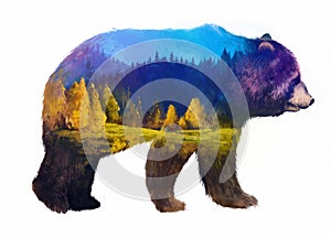 Bear double exposure illustration