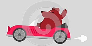 Bear driving a sports car