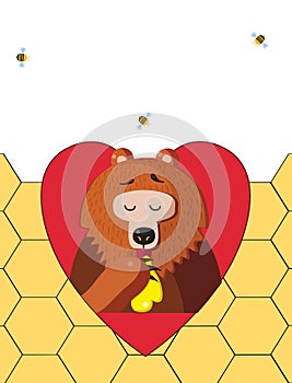 Bear eating honey in red heart on honeycomb background