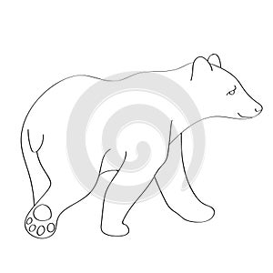 Bear flat illustration on white