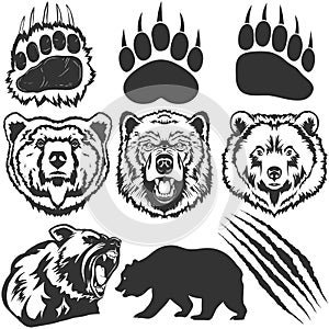 Bear, footprint with claw scratches vector photo