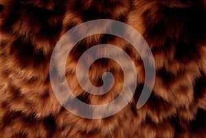 Bear Fur Texture Background, Brown Animal Fur, Abstract Generative AI Illustration