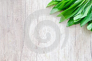 Bear garlic on wooden table