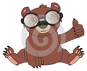 Un orso occhiali mostrare gesto 