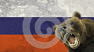 Bear growls on the background of the Russian flag