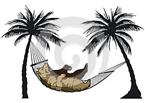 Bear in a hammock