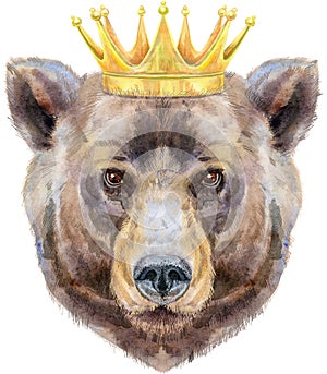 Bear head in gold crown. Watercolor bear painting illustration isolated on white background