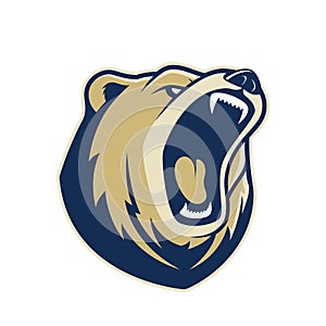 Bear head mascot