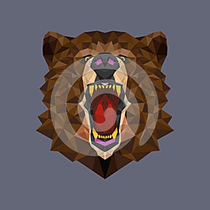 Bear head polygon geometric, Vector illustration