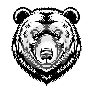 bear head symbol illustration