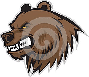BEAR HEAD VECTOR