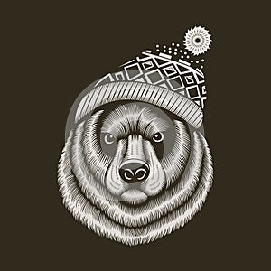 Bear hipster in knitted hat with jacquard pattern photo