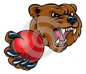 Bear Holding Cricket Ball