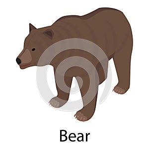 Bear icon, isometric style photo