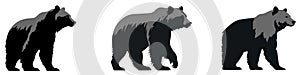 Bear icons set. Bear silhouettes. Black symbols of bear