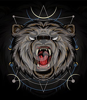 The bear illustration. bear head logo
