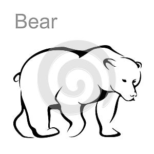 Bear image, outline, vector illustration. The bear is comin