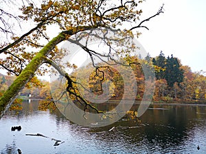 Bear Lake Sovata, Romania - autumn season photo