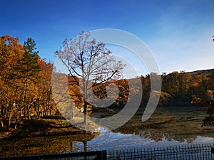 Bear Lake Sovata, Romania -heliothermal lake unique