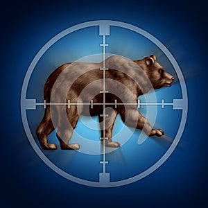 Bear Market Target