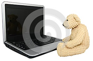 Bear With Mini Lap Top Computer