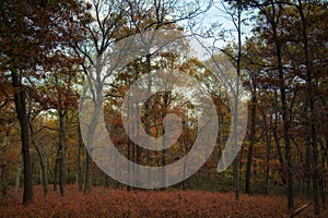 Bear Mountain Park, during autumn, landscape. New York