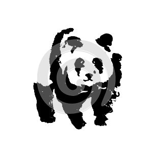 Bear panda brush. Absract illustration. photo