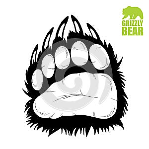 Bear paw