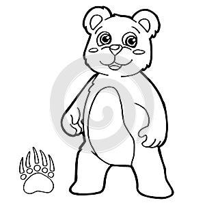 Bear with paw print Coloring Page vector