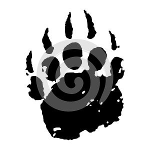 Bear paw print vector. Black bear footprint isolated on white background.