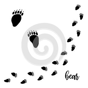 Bear paw vector foot trails. footprints of wild bear. diagonal tracks for t-shirts, backgrounds