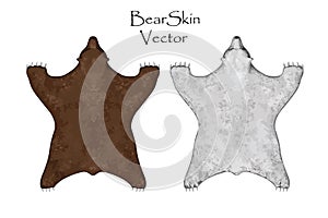 Bear pelt. Big brown and White . Hunting trophy. Vector illustration Top View.