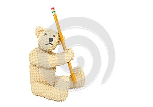Bear With Pencil