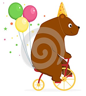 Bear performs a circus trick.