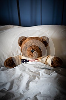 Bear plush toy put into parents bed