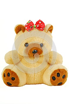 Bear plush toys photo