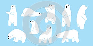 Bear polar bear teddy vector icon character cartoon doodle illustration