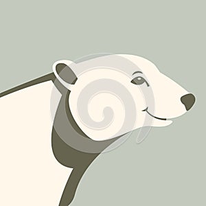 Bear polar head vector illustration style flat profile