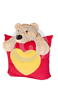 Bear on red pillow photo