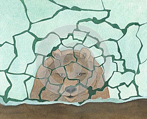 Bear in reflection in ice, watercolor illustration