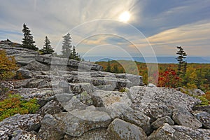 Bear Rocks Dolly Sods West Virginia