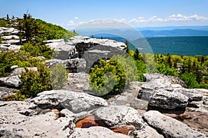 Bear Rocks Preserve