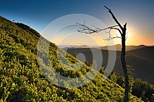 Bear rocks sunrise during autumn with rocky landscape photo