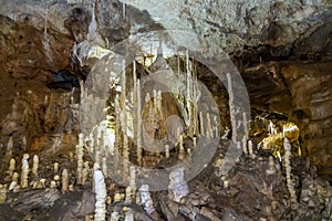 Bear`s Cave, Ursus spelaeus, Bihor County, Apuseni Mountains, Romania