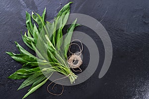 Bear's garlic