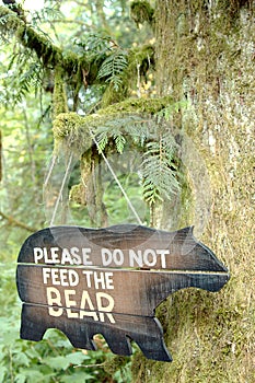Bear sign outdoors