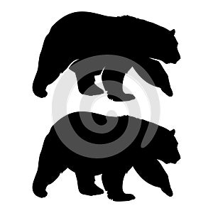 Bear silhouette 002