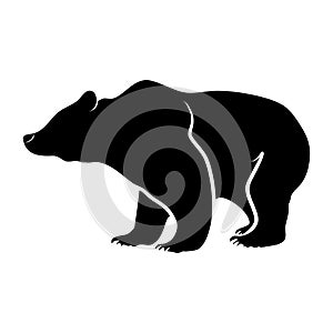 Bear silhouette on a transparent background