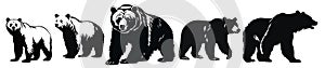 Bear silhouettes collection. Black bears animal logo symbol design. Wild mammal graphic vector illustration