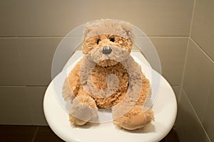 Bear sit on toilet closeup kids potty training